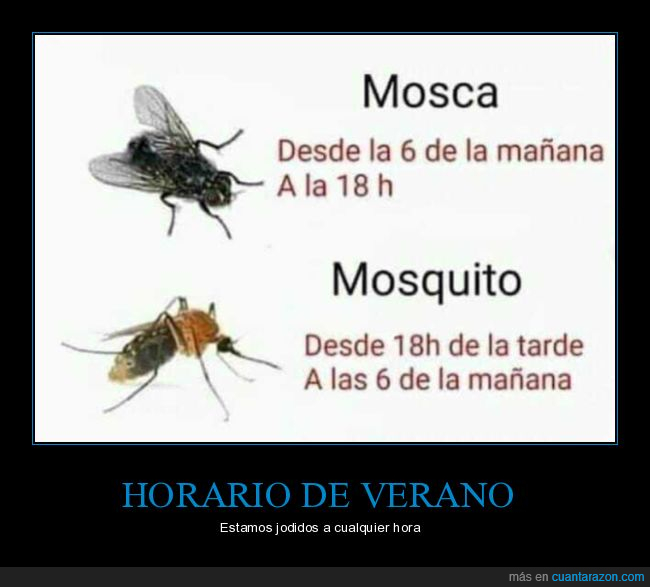 horario,verano,mosca,mosquito