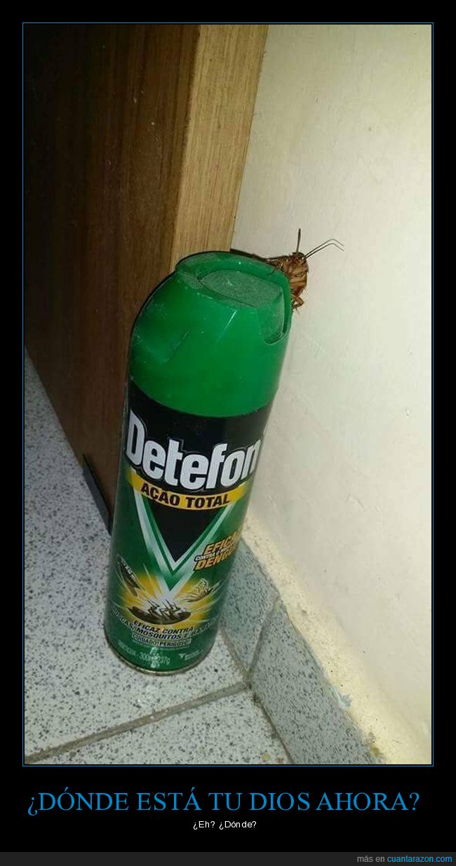cucaracha,insecticida,wtf