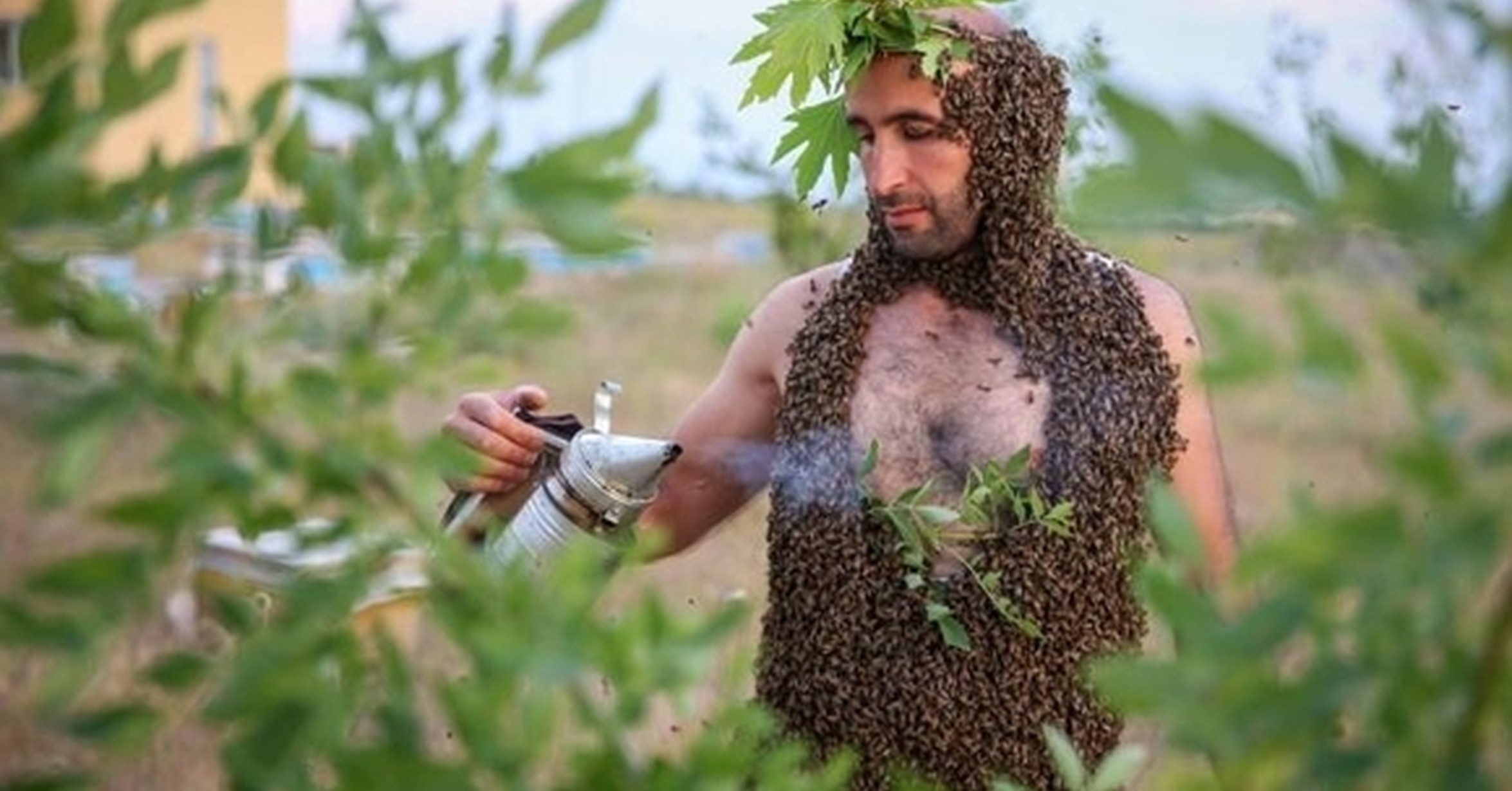¡Cuánta razón! / El amigo de las abejas