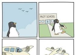 Enlace a Persigue tus sueños