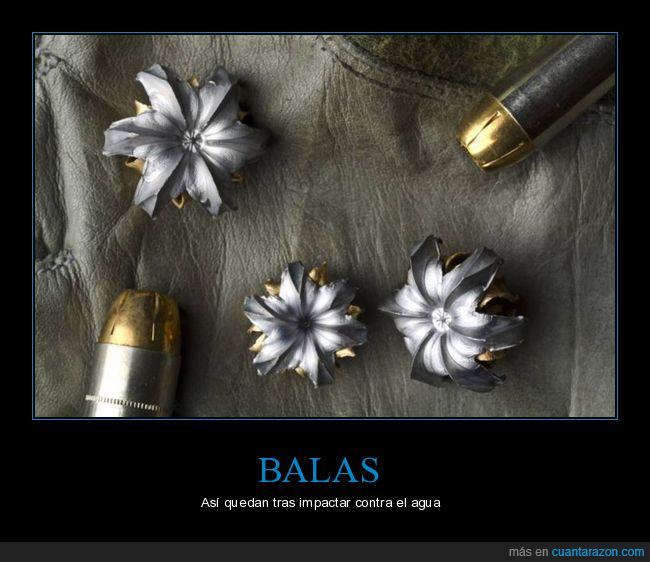 balas,agua,wtf