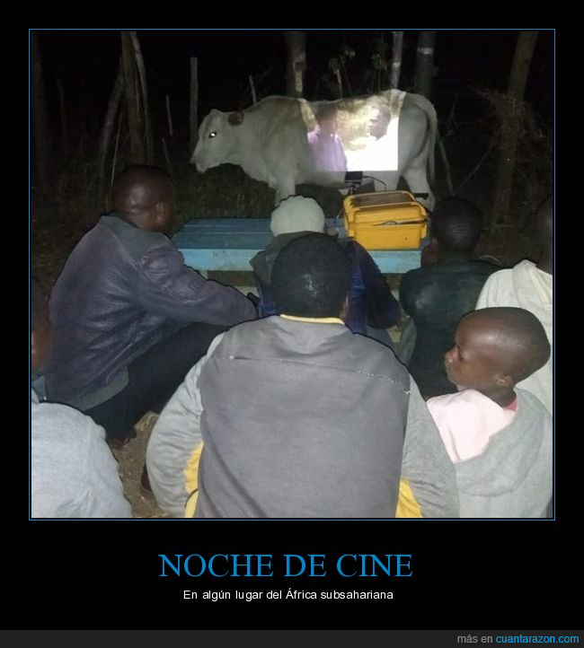 proyector,película,vaca,wtf