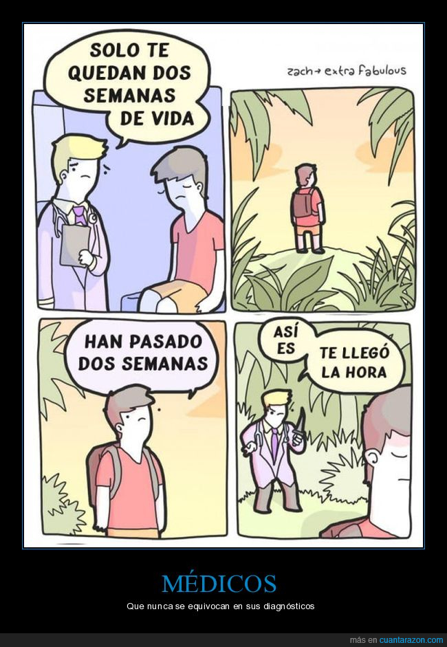 médico,dos semanas,vida