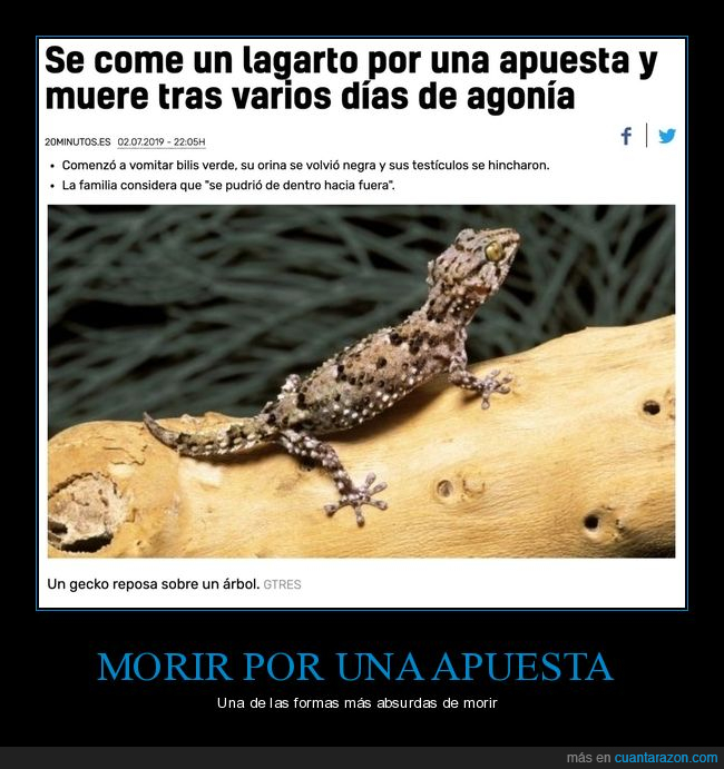 lagarto,apuesta,muerte,wtf