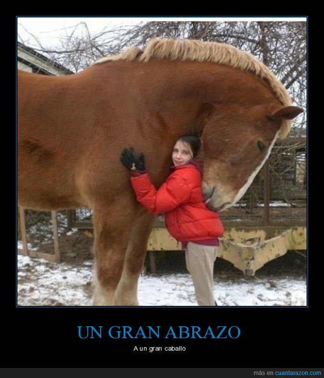 caballo,abrazo,gigante