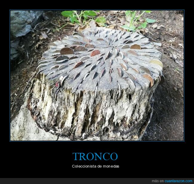 tronco,monedas