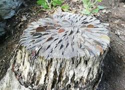 Enlace a No es el mejor lugar para depositar los ahorros...