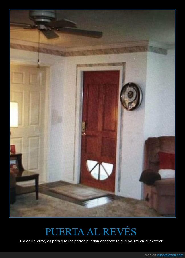 puerta,al revés,perros,wtf