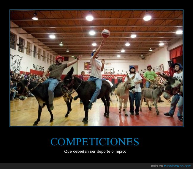 deporte,burros,wtf