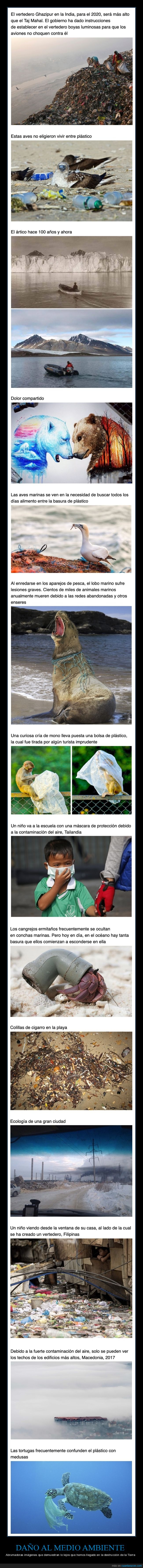 medio ambiente,contaminación