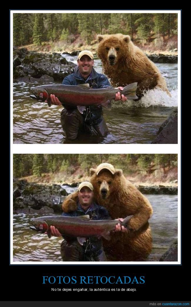 río,pez,oso,photoshop