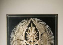 Enlace a No esperaba que fuera así...