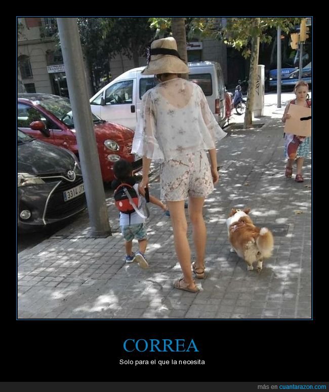 correa,ni&ntilde;o,perros,madre,hijo,wtf