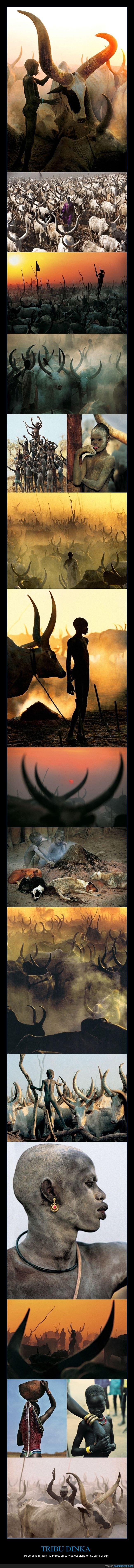 tribu dinka,sudán del sur,fotografía