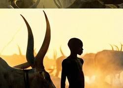 Enlace a Poderosas fotografías muestran la vida cotidiana de la tribu Dinka de Sudán del Sur