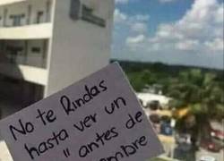 Enlace a Persigue tus sueños