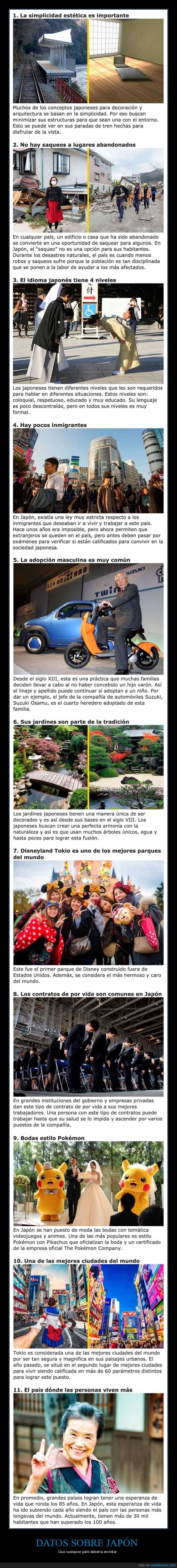 japón,curiosidades