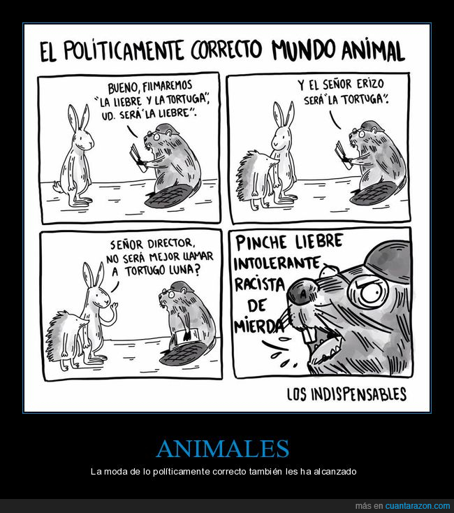 animales,políticamente correcto,la liebre y la tortuga,erizo,racista