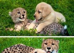 Enlace a Best friends forever