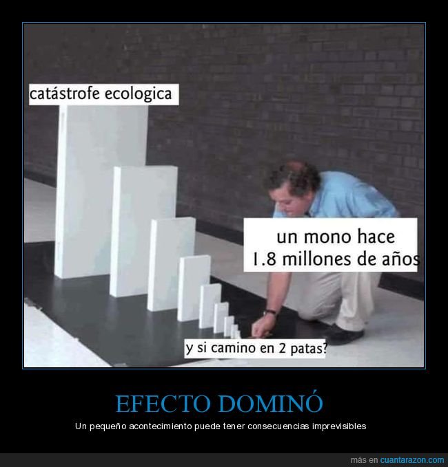 mono,caminar,dos patas,efecto dominó,catástrofe ecológica