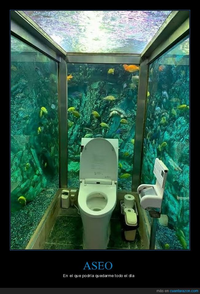 aseo,acuario,wtf