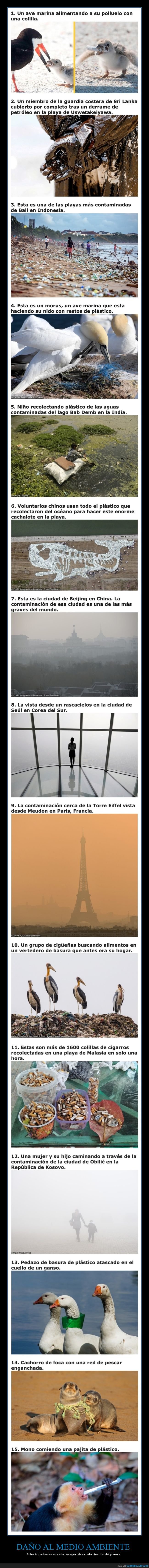 medio ambiente,contaminación