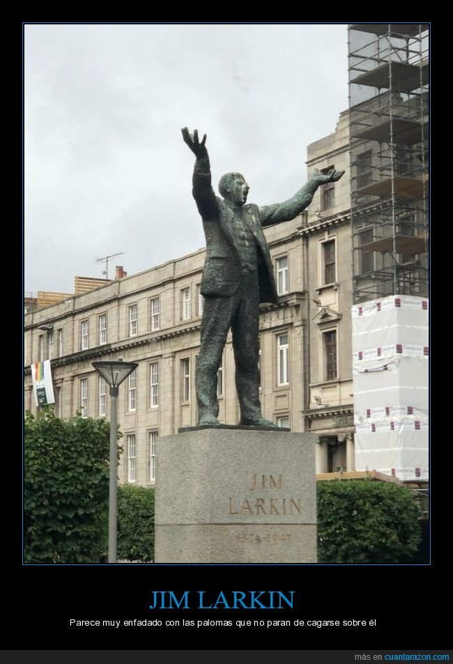 jim larkin,estatua,enfadado,palomas,cagarse