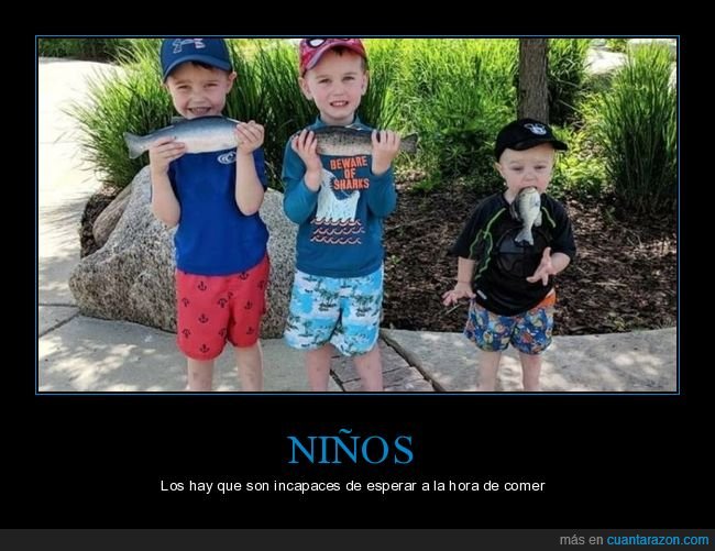 niños,peces,wtf