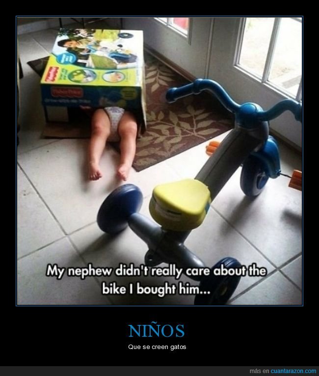 ni&ntilde;o,triciclo,caja,wtf
