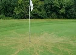 Enlace a Rayos jugando al golf más buenos que tú