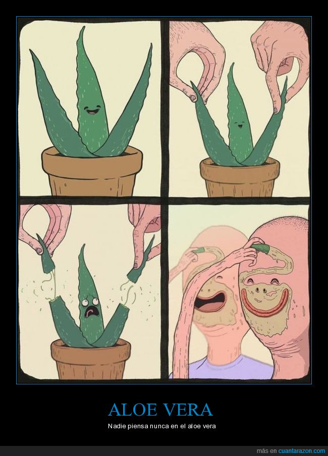 aloe vera,arrancar,cara