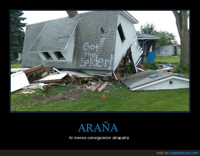 casa,destrozada,pintada,araña