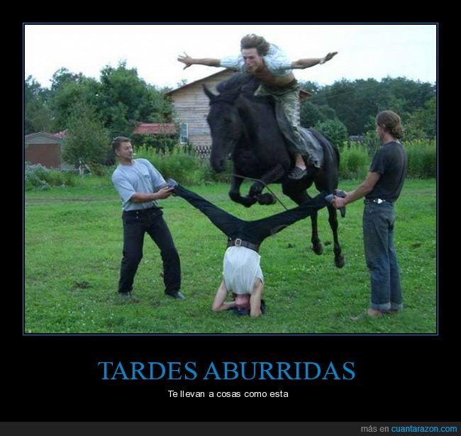 salto,caballo,wtf