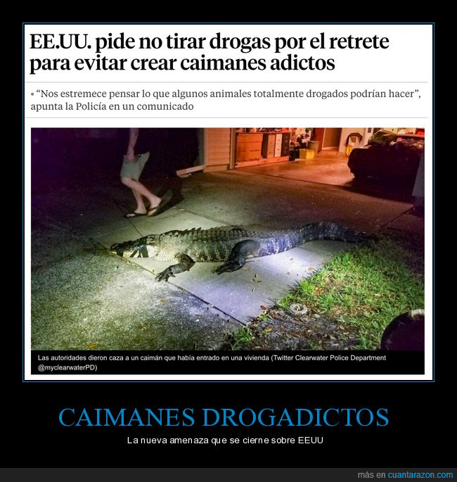 tirar,drogas,váter,caimanes,drogadictos,wtf