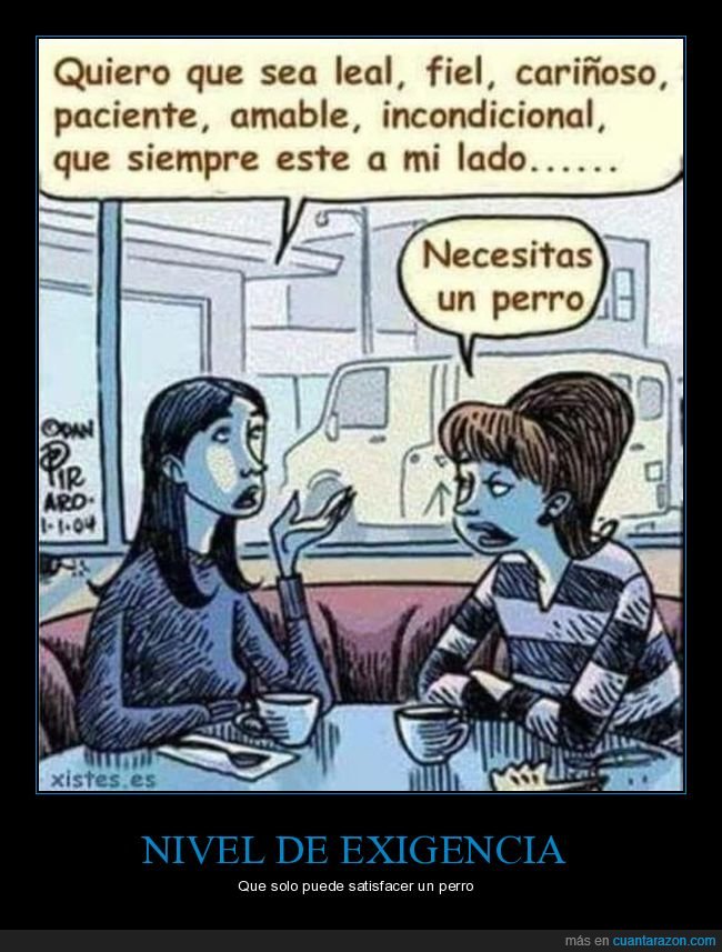 querer,exigente,perros