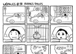 Enlace a No puede dejar de pensar en el destino de esos pollos...