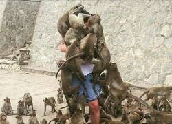 Enlace a Debió hacer caso de las advertencias...