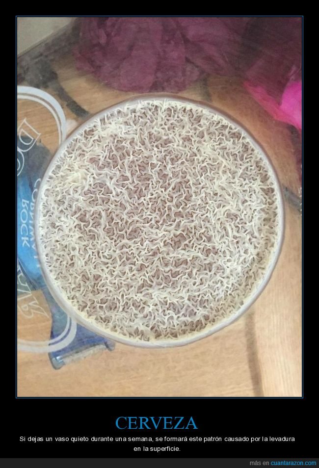 cerveza,patr&oacute;n,levadura