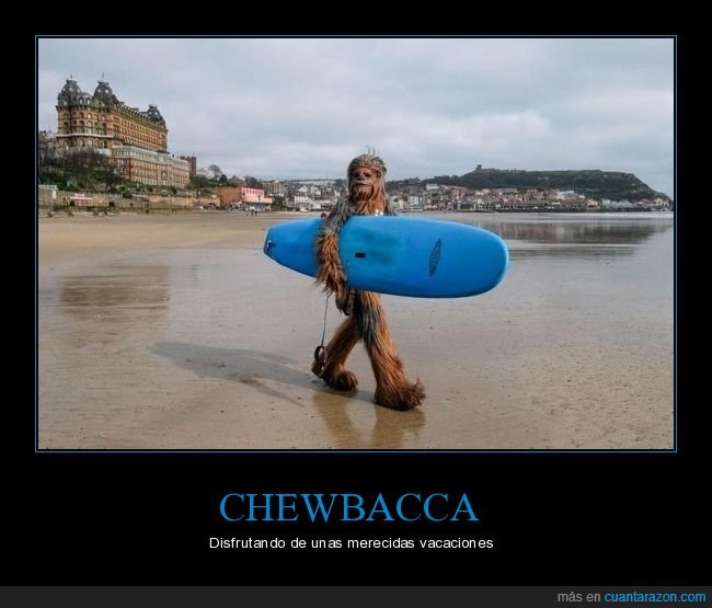 chewbacca,playa,surf,disfrz,star wars