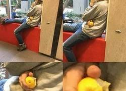 Enlace a Disfrutando de un sabroso limón