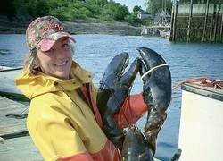 Enlace a Langosta XXL