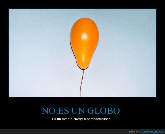 globo,tomate cherry,wtf