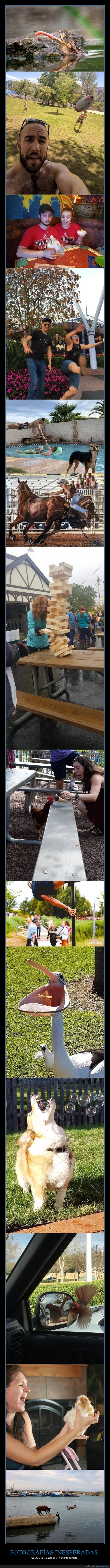 momento exacto,fotografías,wtf