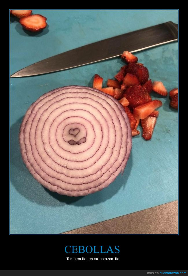 cebolla,centro,corazón