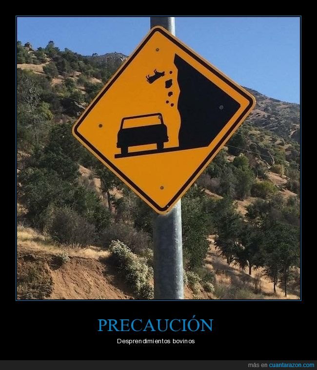 cartel,desprendimientos,vaca,wtf