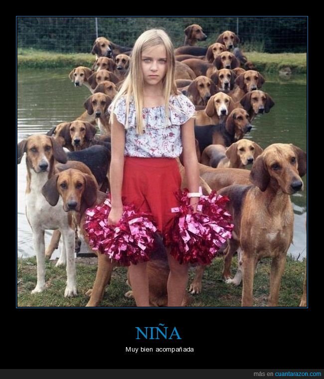 niña,perros,wtf