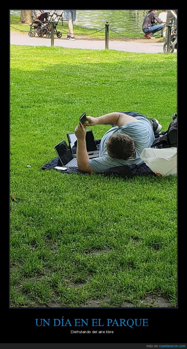 parque,ordenadores,móvil