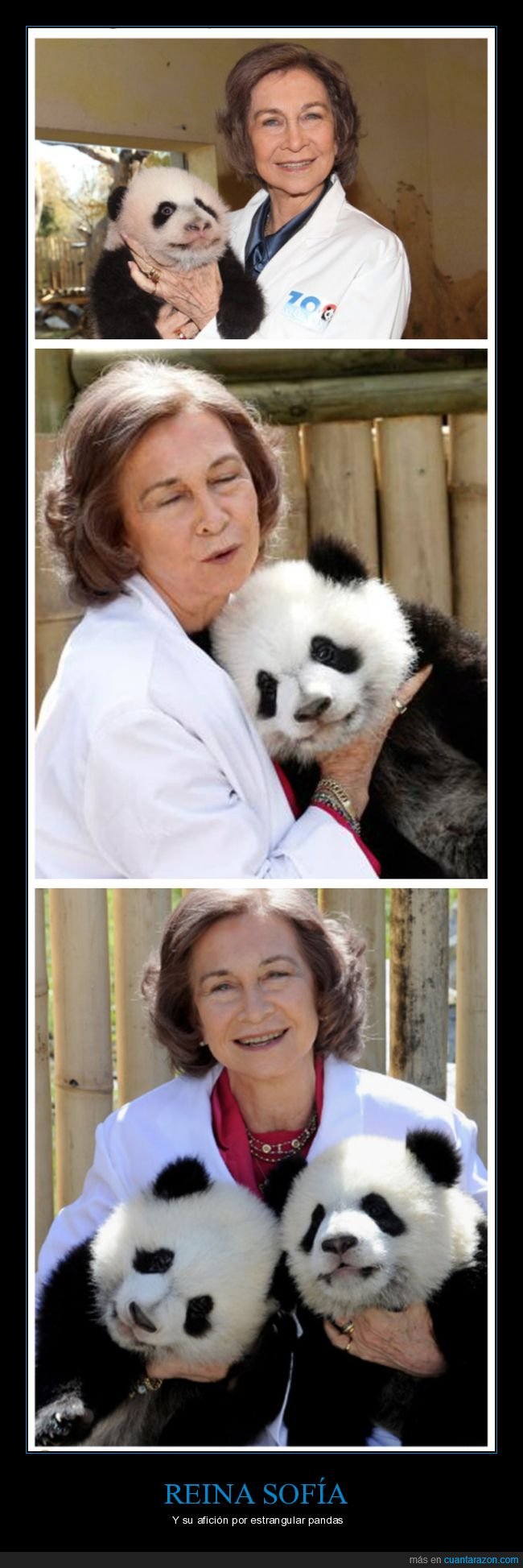 reina,sofía,panda,estrangulando