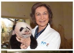 Enlace a La reina emérita y los pandas