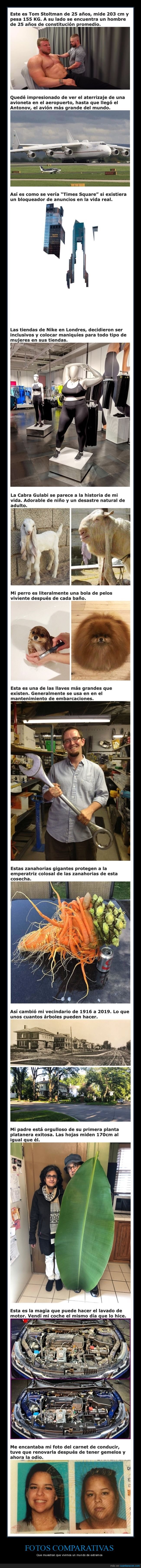 comparaciones,curiosidades
